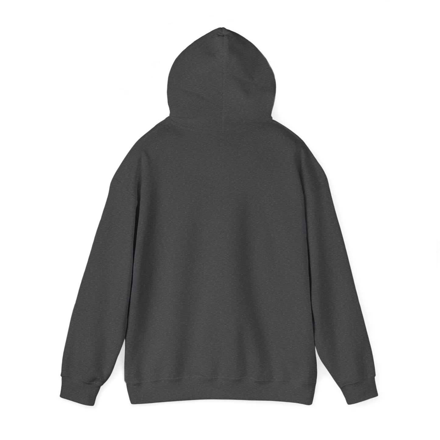 "Choose Joy" Hoodie - Woman