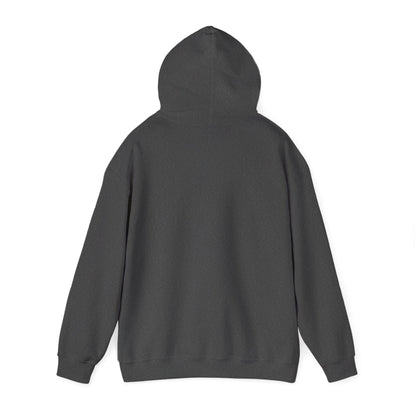 "Choose Joy" Hoodie - Woman
