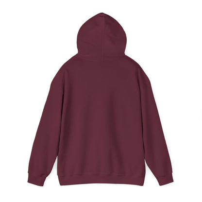 "Choose Joy" Hoodie - Woman